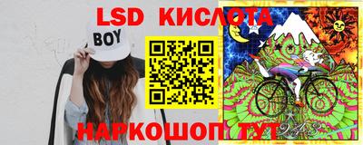 mdpv Ярославль