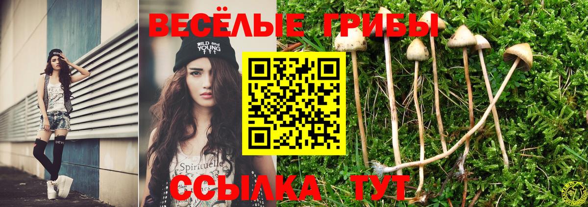 Артёмовский  Псилоцибиновые грибы Magic Shrooms  Вход с VPN 