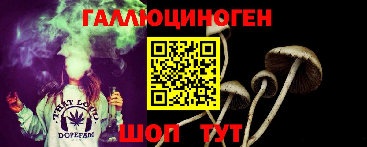 Псилоцибиновые грибы GOLDEN TEACHER Артёмовский